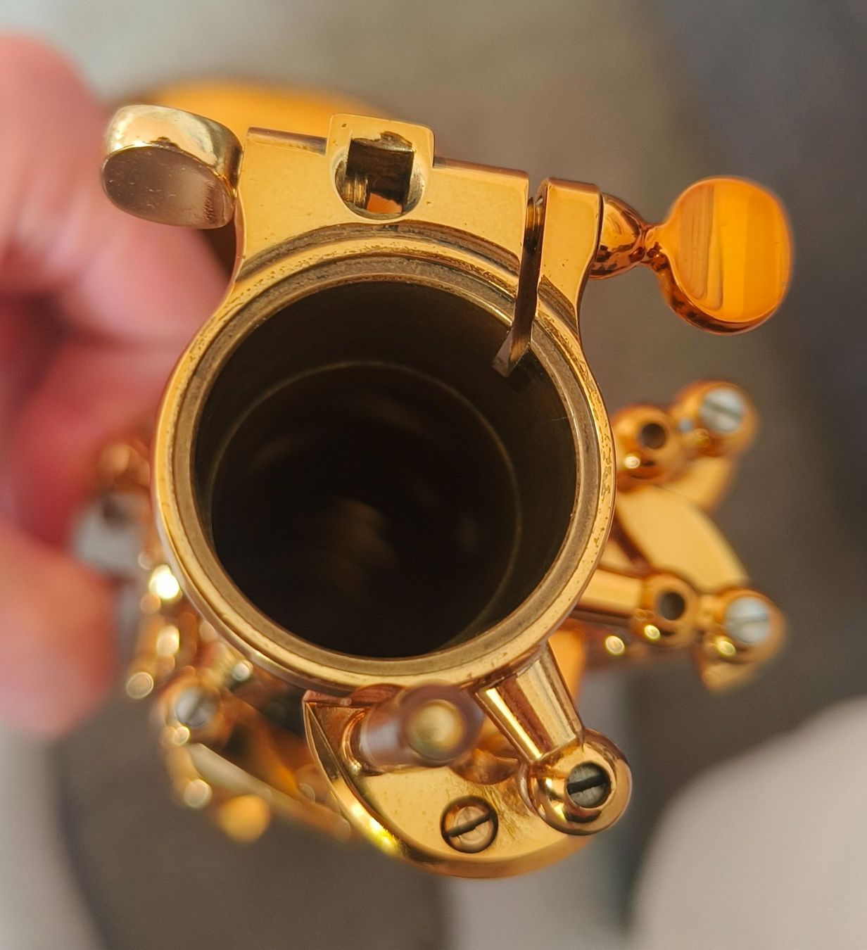 Selmer Strumenti musicali: Selmer Reference 54 alto saxophone – Nuovo (secondo la descrizione) da Fribourg venduto da lau_qwl5 6