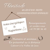 Bon cadeau - Soins énergétiques et magnétisme
