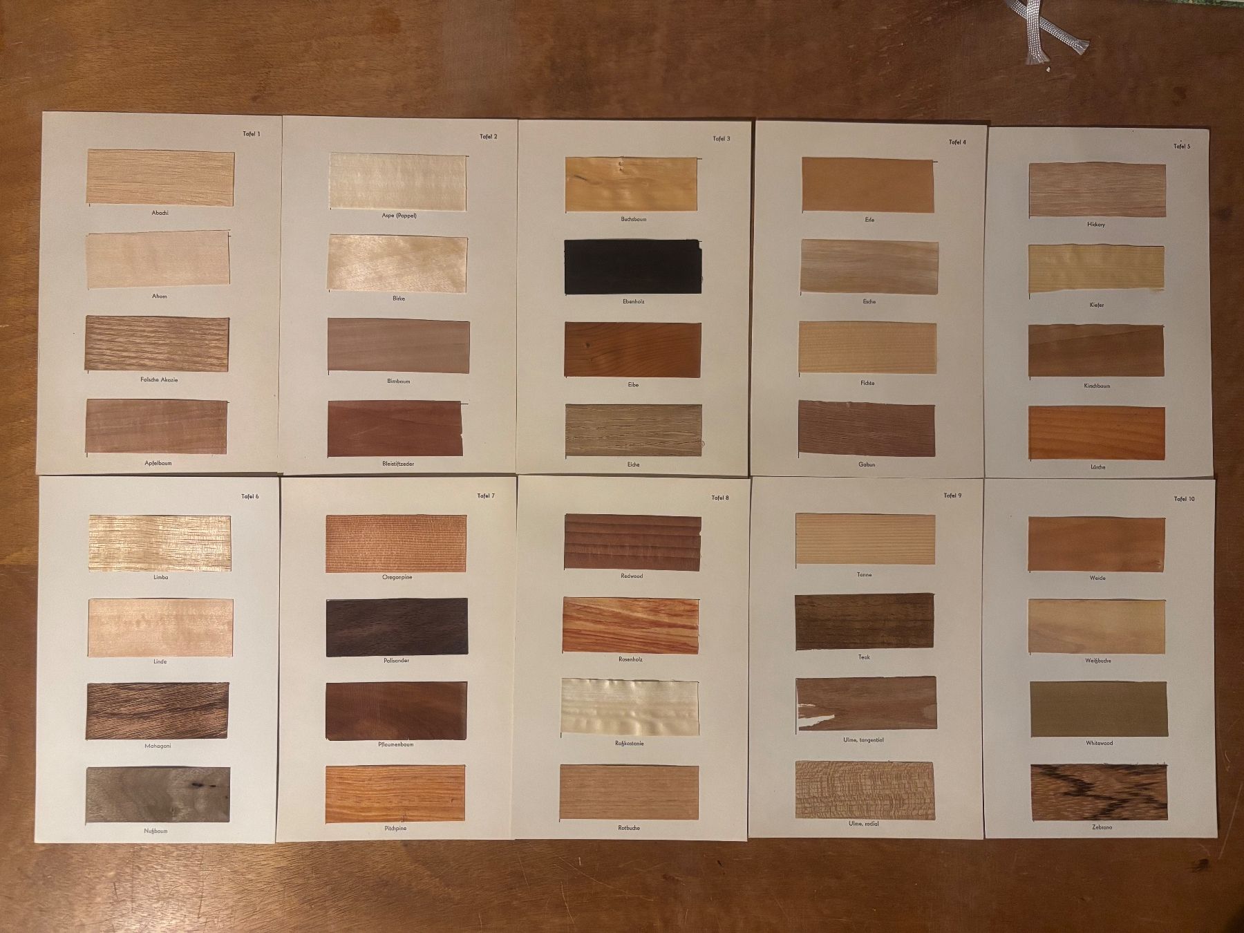 Libri: Welches Holz ist das? mit 40 Holzproben – Usato da Zürich venduto da WWehrle 1