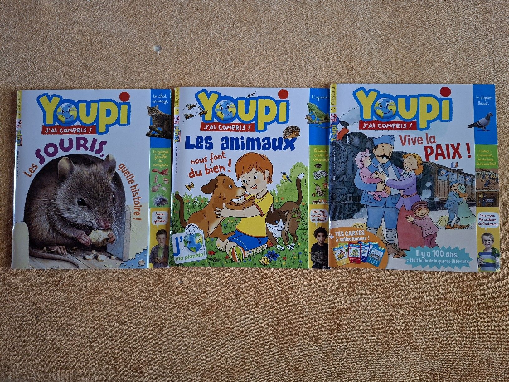 Riviste & Magazine: Lot de magazines Youpi – Usato da Gumefens venduto da izalala 2