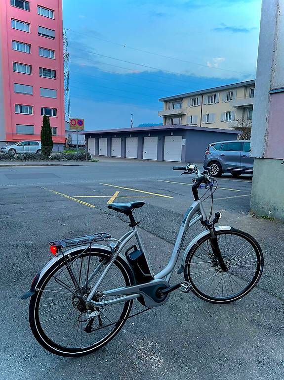 Biciclette: Flyer E Bike 25 km h  – Usato da Zug venduto da abv_9t5d 2