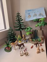 Playmobil set 3896 cascata magica