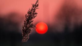 Wandbilder auf Stoff