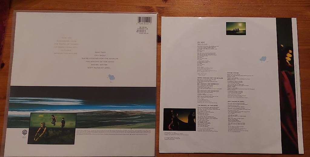 Dischi in vinile: AHA - Scoundrel Days LP(1986)" near mint" – Usato da NENDELN venduto da Vinylandmote 1