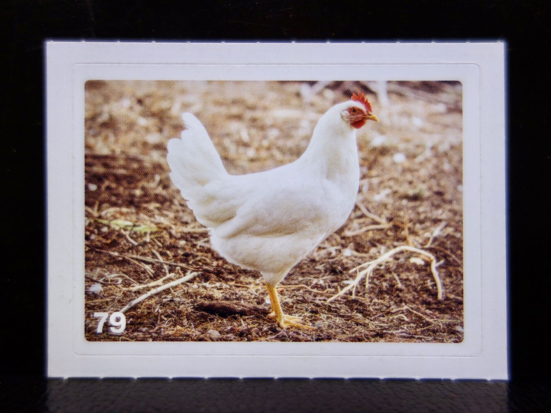 Migros Cartes à collectionner: MIGROS MANIA Nature Detectives Nr. 79 – Neuf avec emballage d'origine à Kerzers par djstarsky73