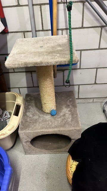 Arbres à chats: Katzen Kratzbaum + Körbli – D'occasion à Hüntwangen par Jcougar