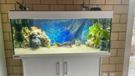 Aquarium Eheim mit Unterschrank und Zubehör 🐠🐟🐡