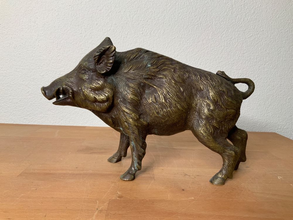 Les sangliers - Galerie Animalia