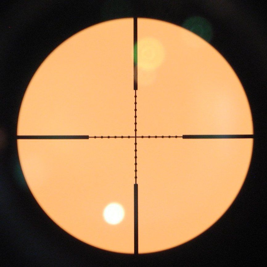 Obiettivi: Jagd Zielfernrohr 2-7 x 20 – Nuovo (secondo la descrizione) da Seengen venduto da die_Katze 6