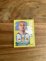Panini Arg 15