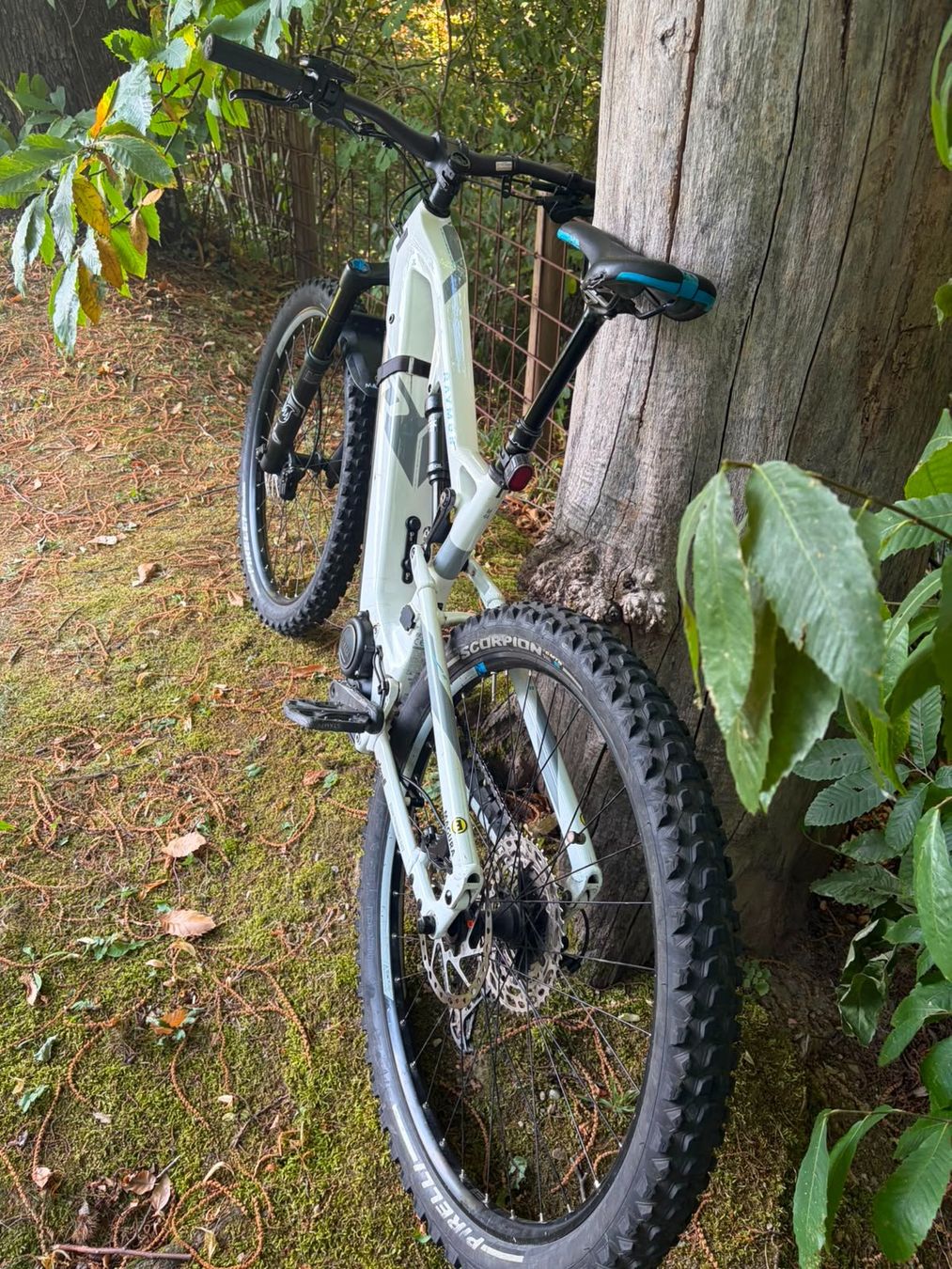 Velos: E-BIKE RAYMON FULLRAY E10 – Gebraucht aus Cureglia von lon_cpk9 3