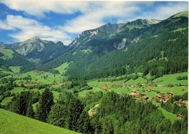 OBERWIL und WALDRIED im Simmental