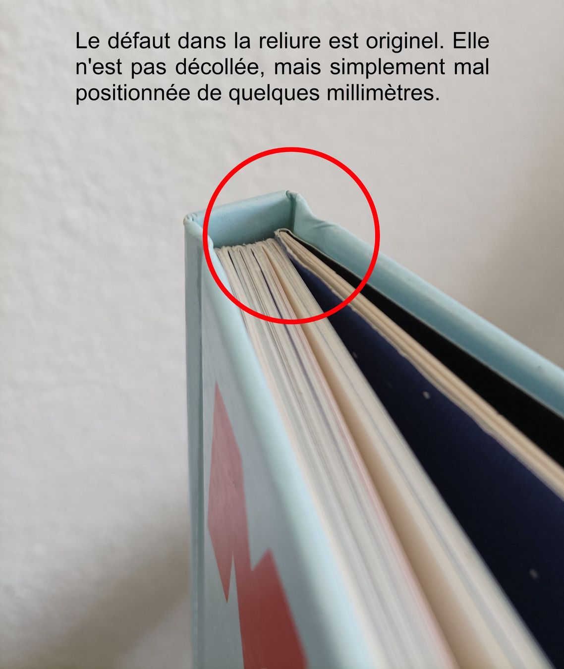 Libri: Moebius - Starwatcher (Casterman 1992) – Usato da Neuchâtel venduto da fin_n66k 7