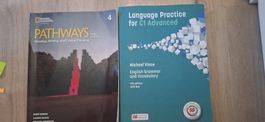 Englisch Matura / Passerelle