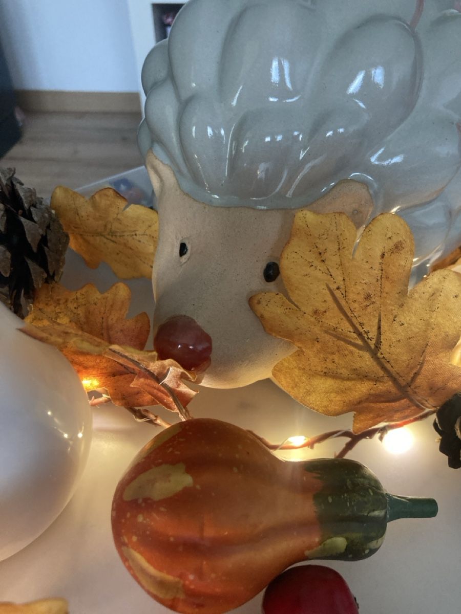 Tutte le decorazioni: Herbst-Deko-Set – Usato da Selzach venduto da SB09 1