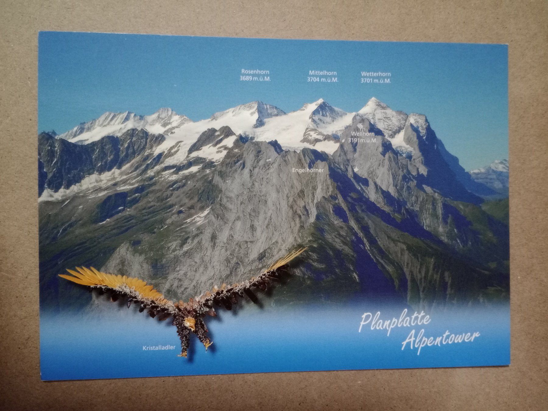 Cartoline postali: Ak Berge Kanton Bern Planplatte Adler – Usato da Küttigen venduto da Melisch1000