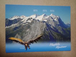 Ak Berge Kanton Bern Planplatte Adler