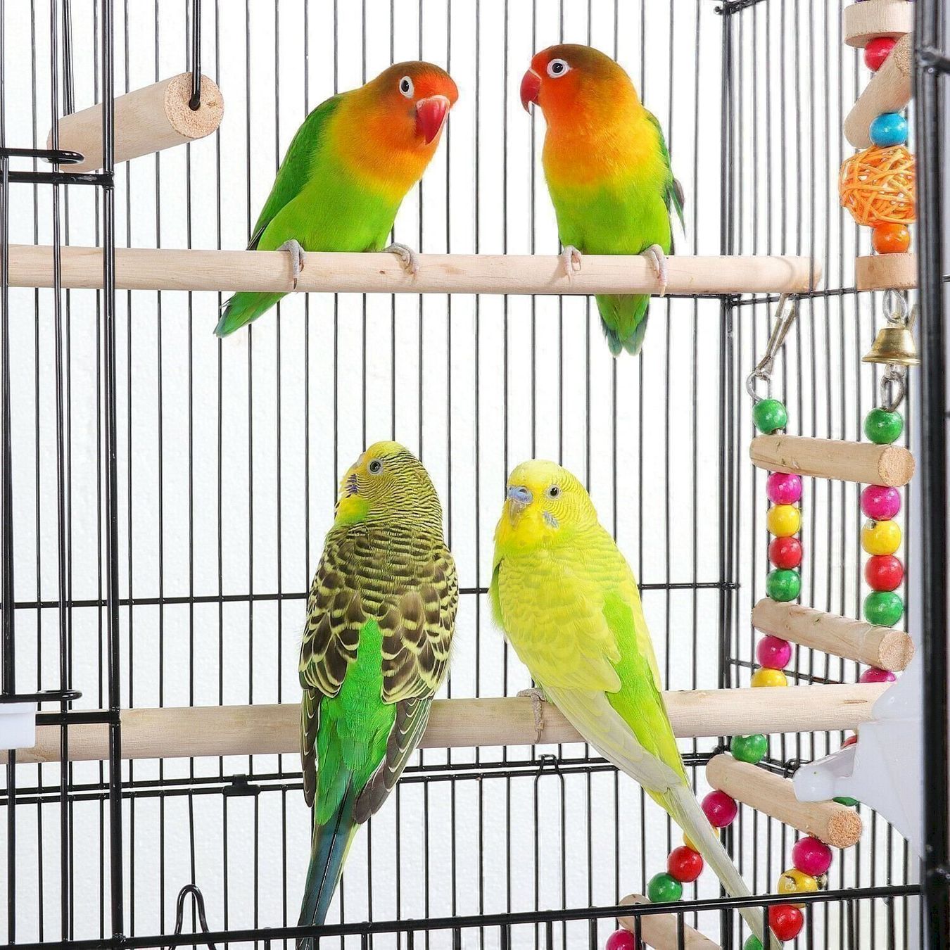 Vogelhäuser: Yaheetech Vogelkäfig Wellensittich – Neu und originalverpackt aus Bottighofen von zaap 7