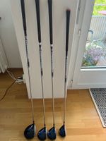 Honma Driver & Hölzer