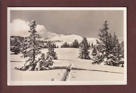 FLUMSERBERG - Skitour Prodkamm