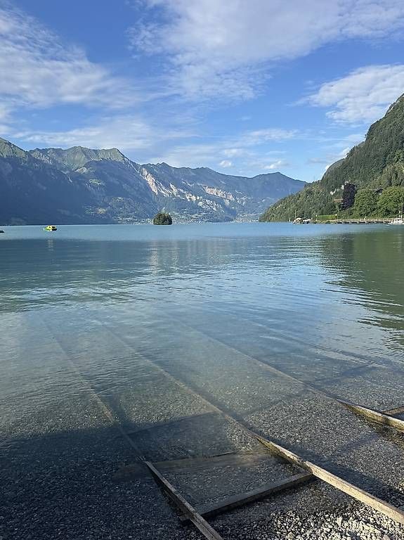 Barche: Fischerboot/ Ruderboot  – Usato da Gsteigwiler venduto da Gsteigwiler 4