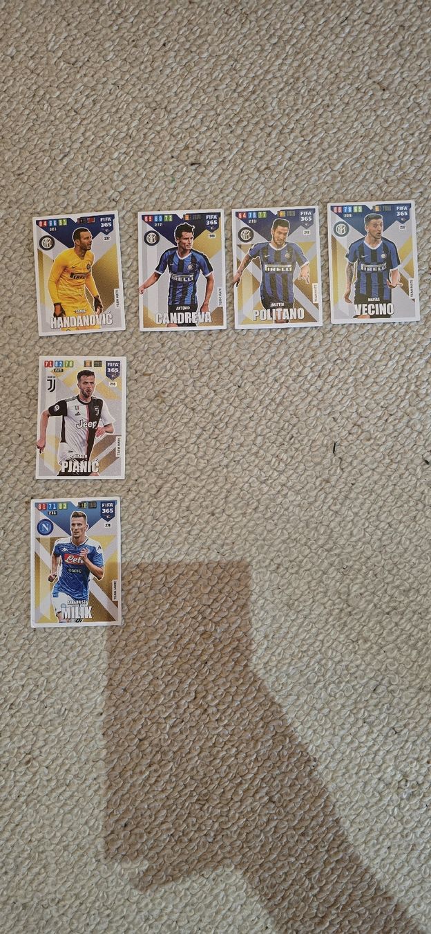 Panini Carte collezionabili: FIFA 365 Karten – Usato da Safnern venduto da Brionne
