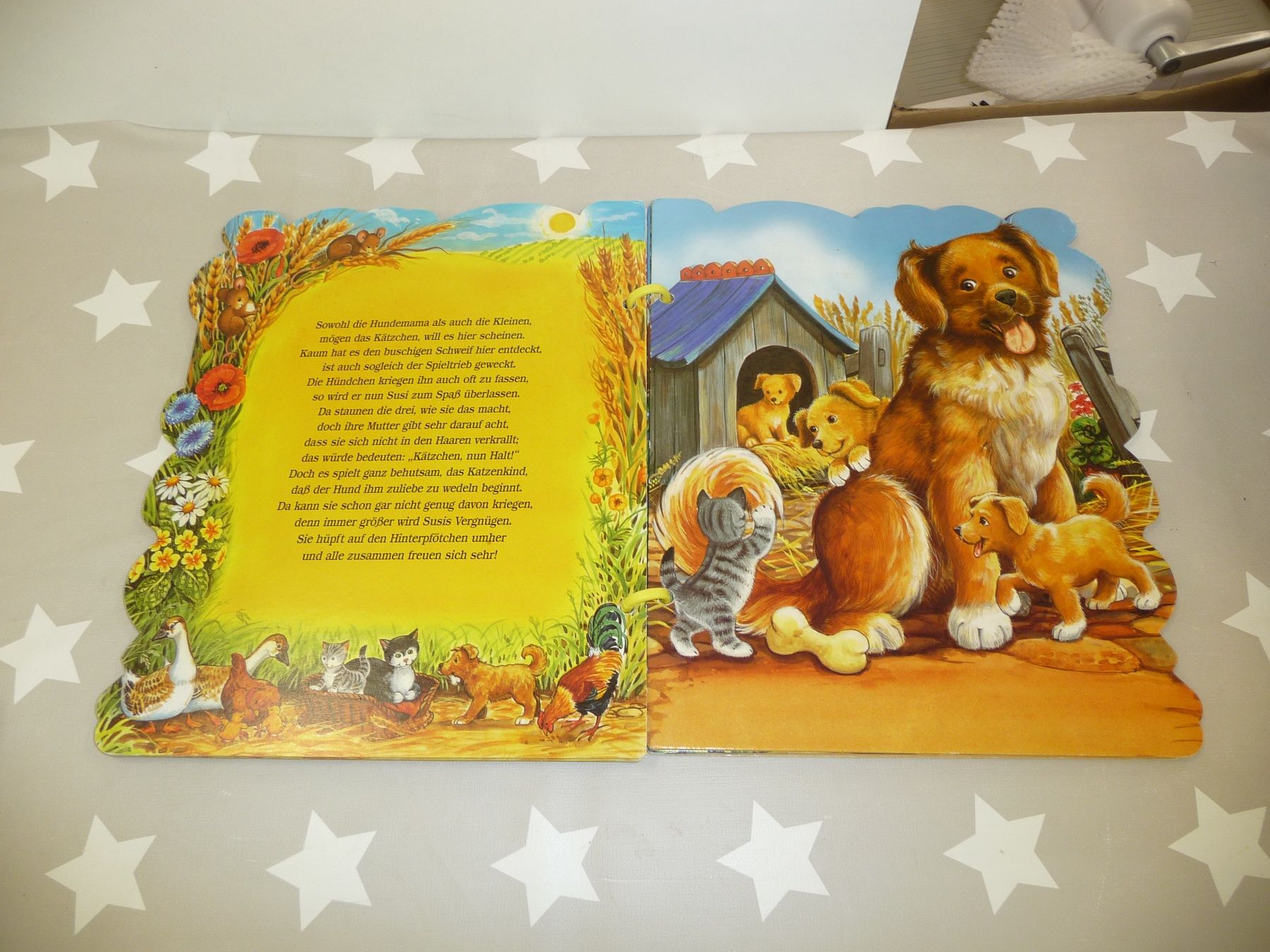 Libri: Buch: Mein liebstes Katzenbuch – Usato da Rafz venduto da Powacaddy 2