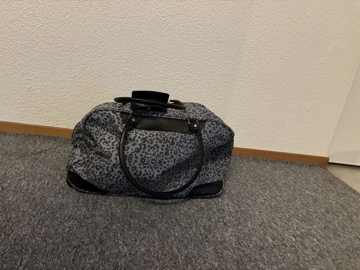 Borse: Reisetasche – Usato da Lostorf venduto da joe_tlk9