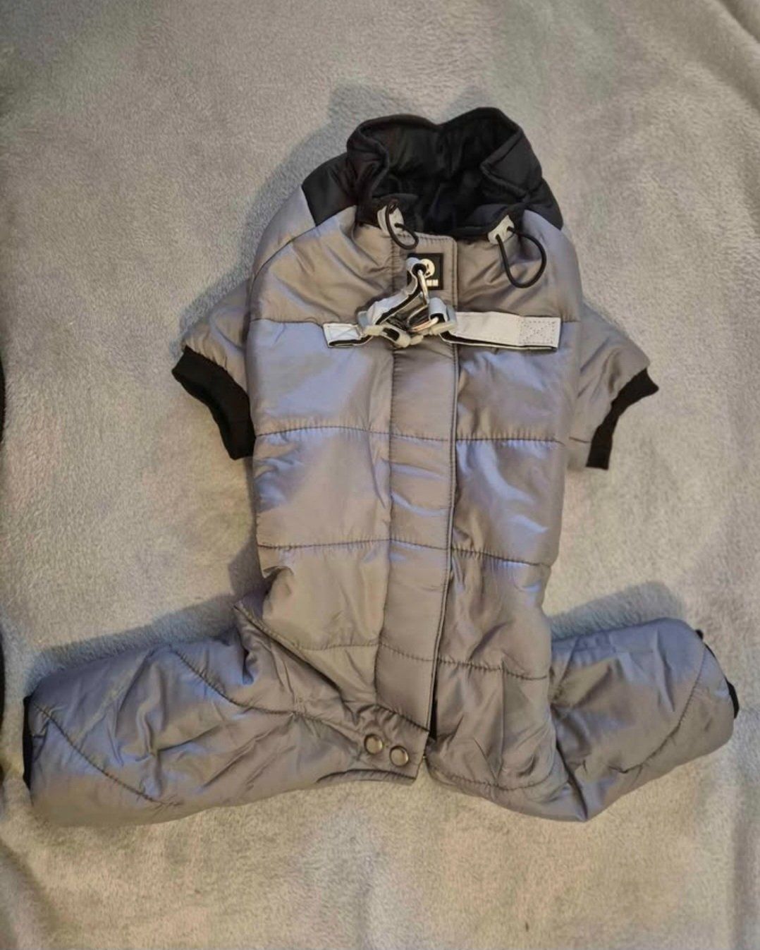Abbigliamento: Winterjacke für Hunde – Nuovo (secondo la descrizione) da Luzern venduto da kat_6kt5