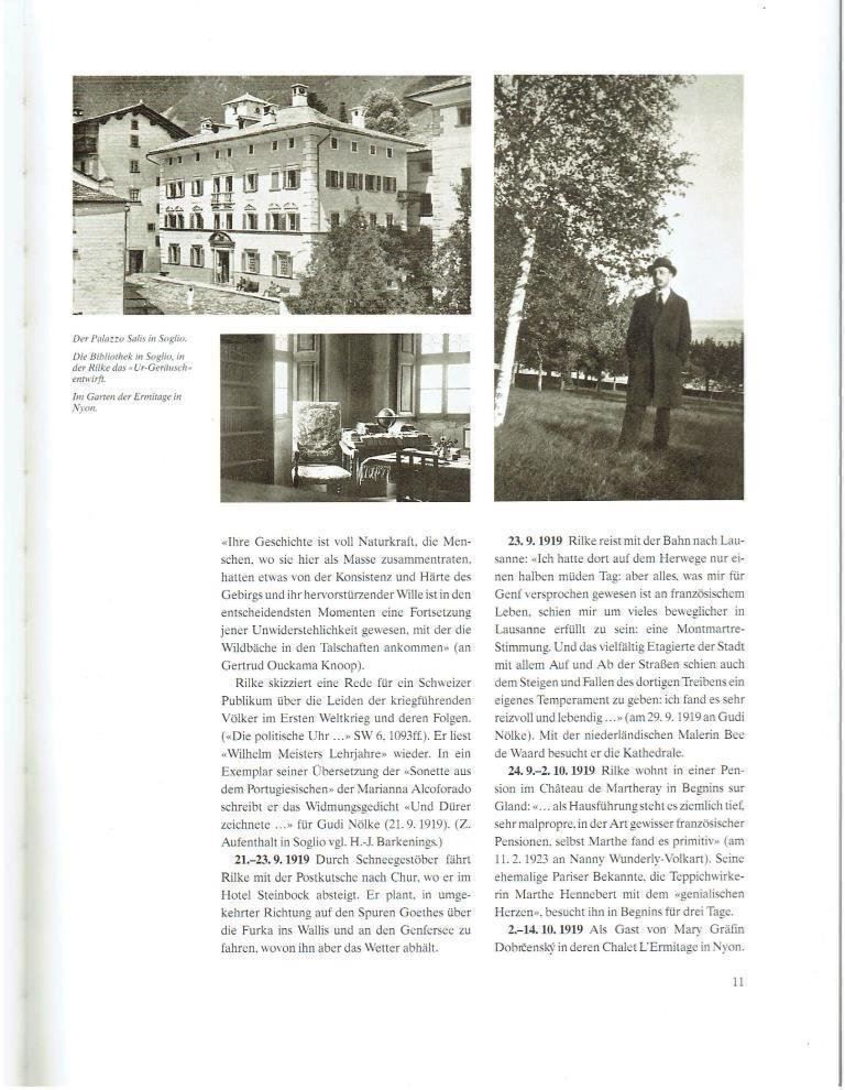 Libri: Rainer Maria Rilke und die Schweiz – Usato da Flims - Dorf venduto da Stagediver 2