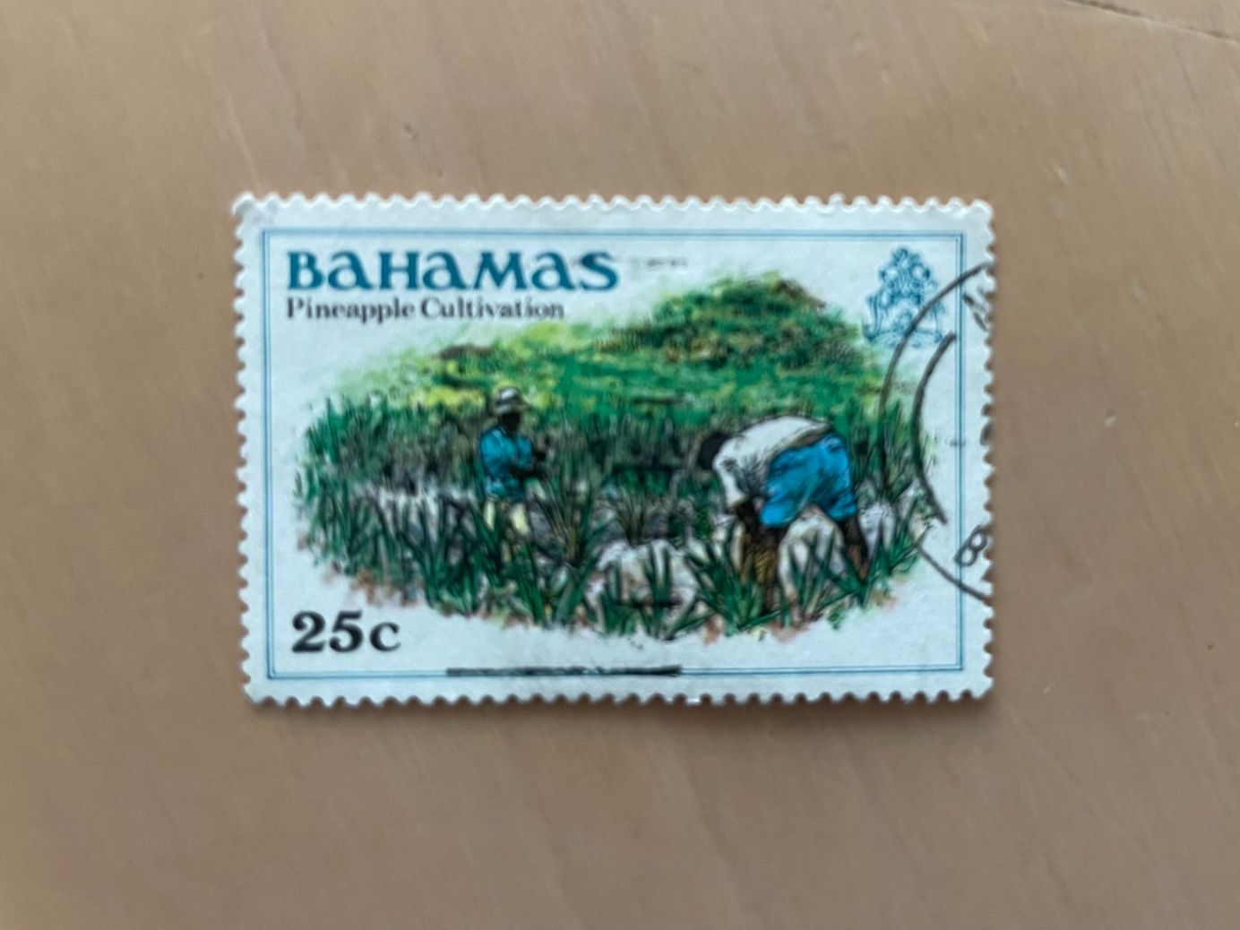 Tutti i francobolli: Briefmarke Bahamas 25c - Ananasernte – Usato da Mägenwil venduto da Zidane1