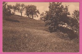 Frauenfeld gel 1911 Beim Mühletobel