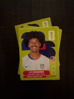 Panini Chris Richards USA 3 & viele mehr