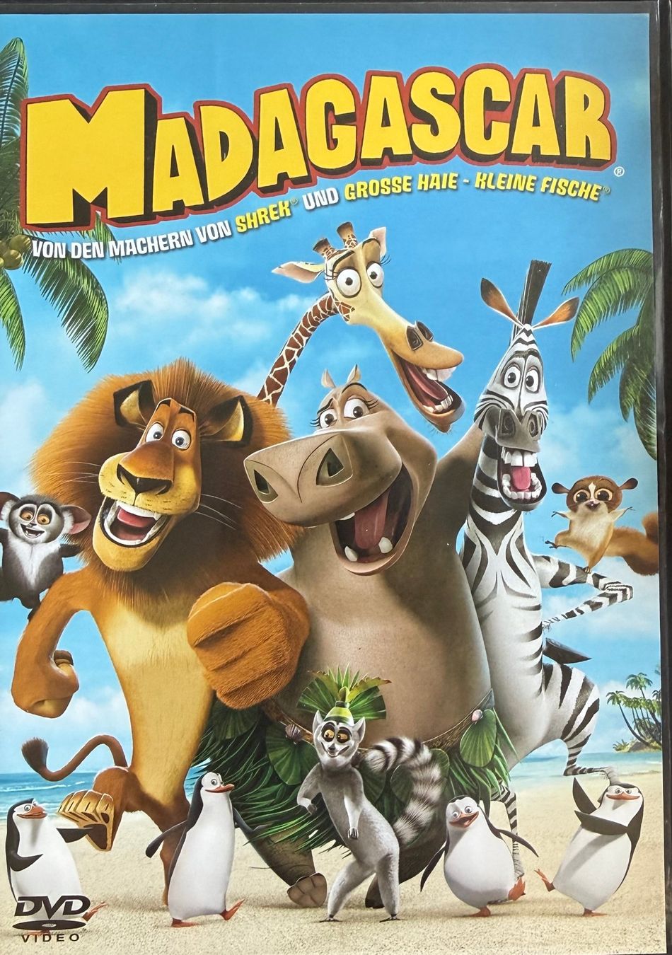 Tutti i DVDs: DVD - Madagascar – Usato da Zäziwil venduto da kreative-ideen