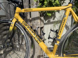 Rennvelo Cannondale / Gelb / Rahmengrösse 57cm