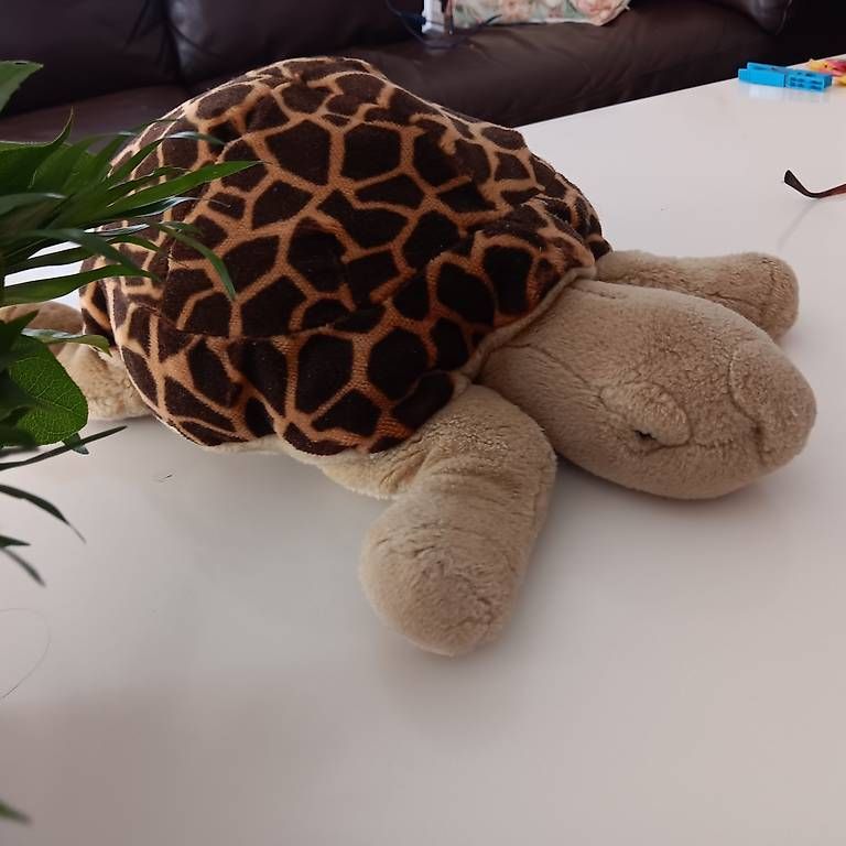 Giocattoli: Riesen-Plüsch-Schildkröte – Usato da Staufen venduto da mar_wf6r 1