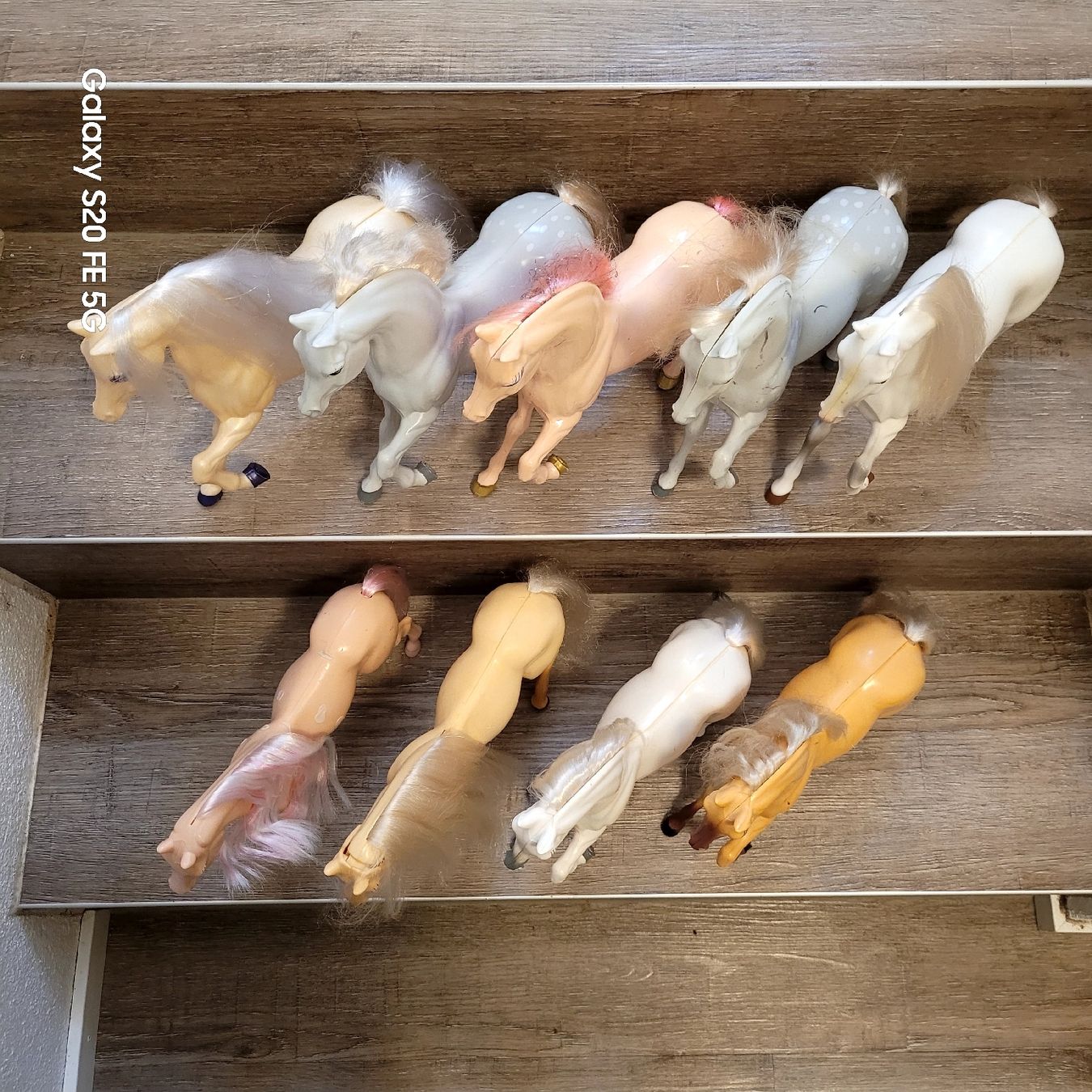 Giocattoli: 9 Barbie Pferde Mattel – Usato da Niederbuchsiten venduto da klengyel 6