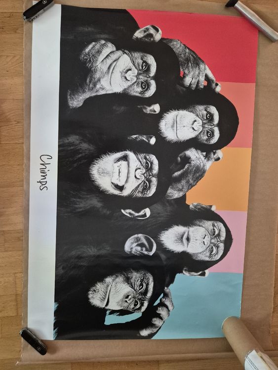 Posters & Illustrations: Chimps Bild – D'occasion à Zürich par Chiara_