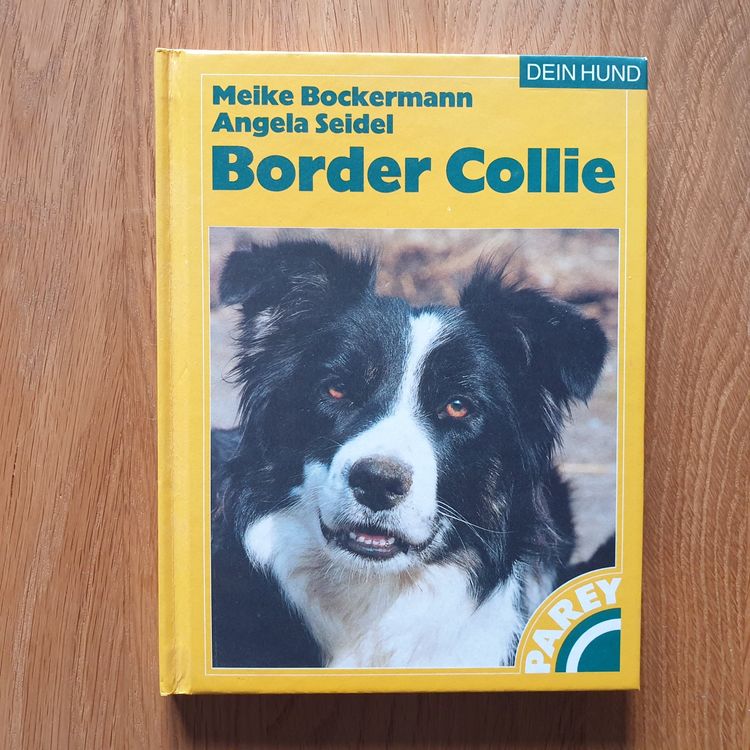 Border Collie Kaufen auf Ricardo