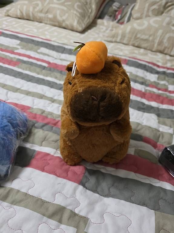 Copricapi, berretti & cappellini: Capybaras – Usato da Carouge GE venduto da gaomadal 4