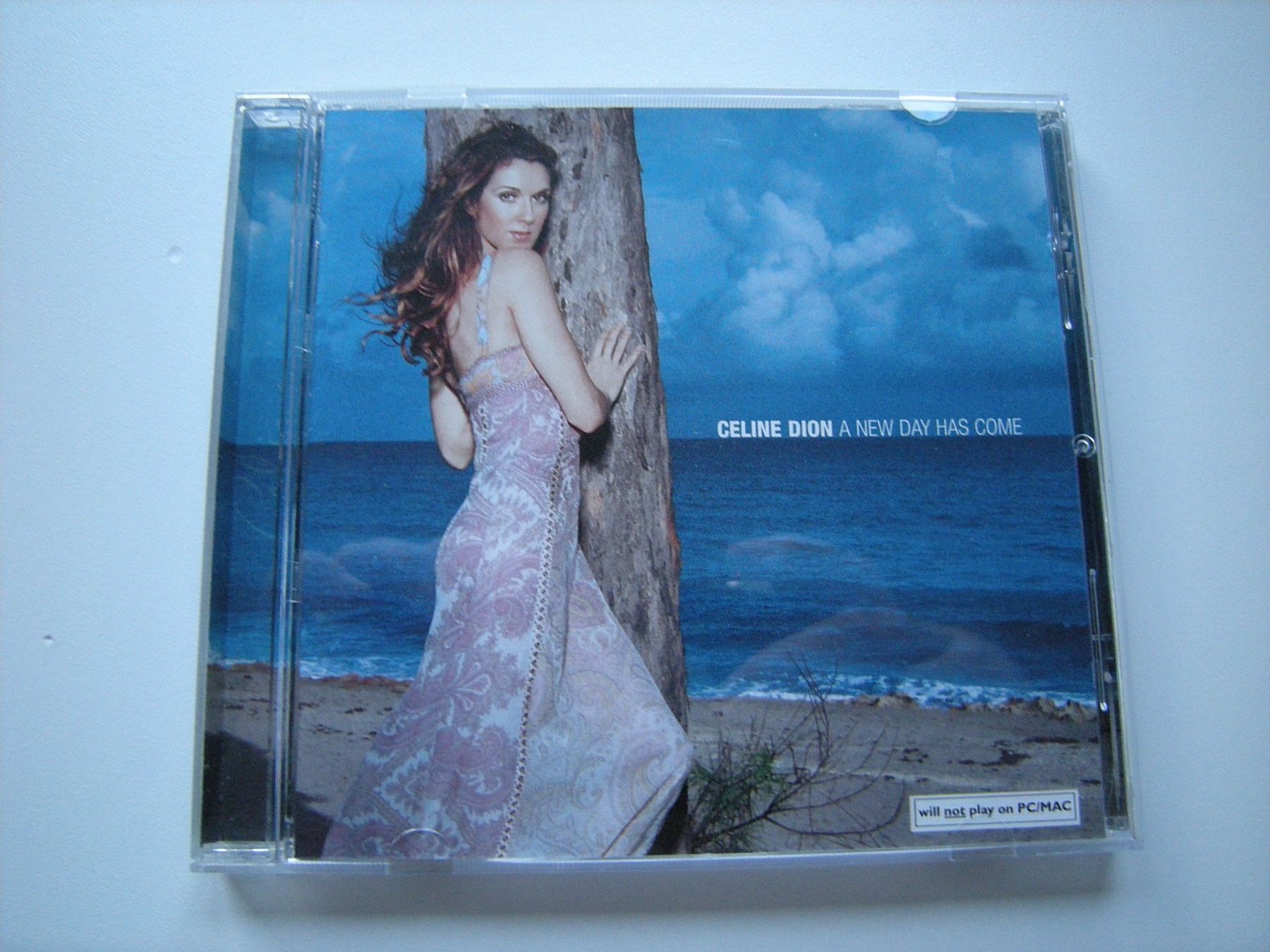 CD: CELINE DION - A new day has come – Usato da Basel venduto da Ceebee62