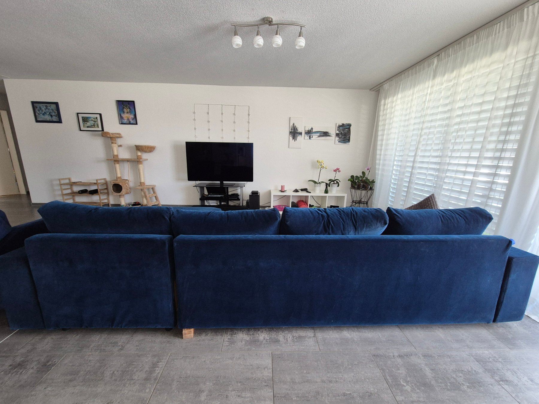 Sofas: Grosses Ecksofa - Blau - Samt – D'occasion à Langenthal par Camelstar 1
