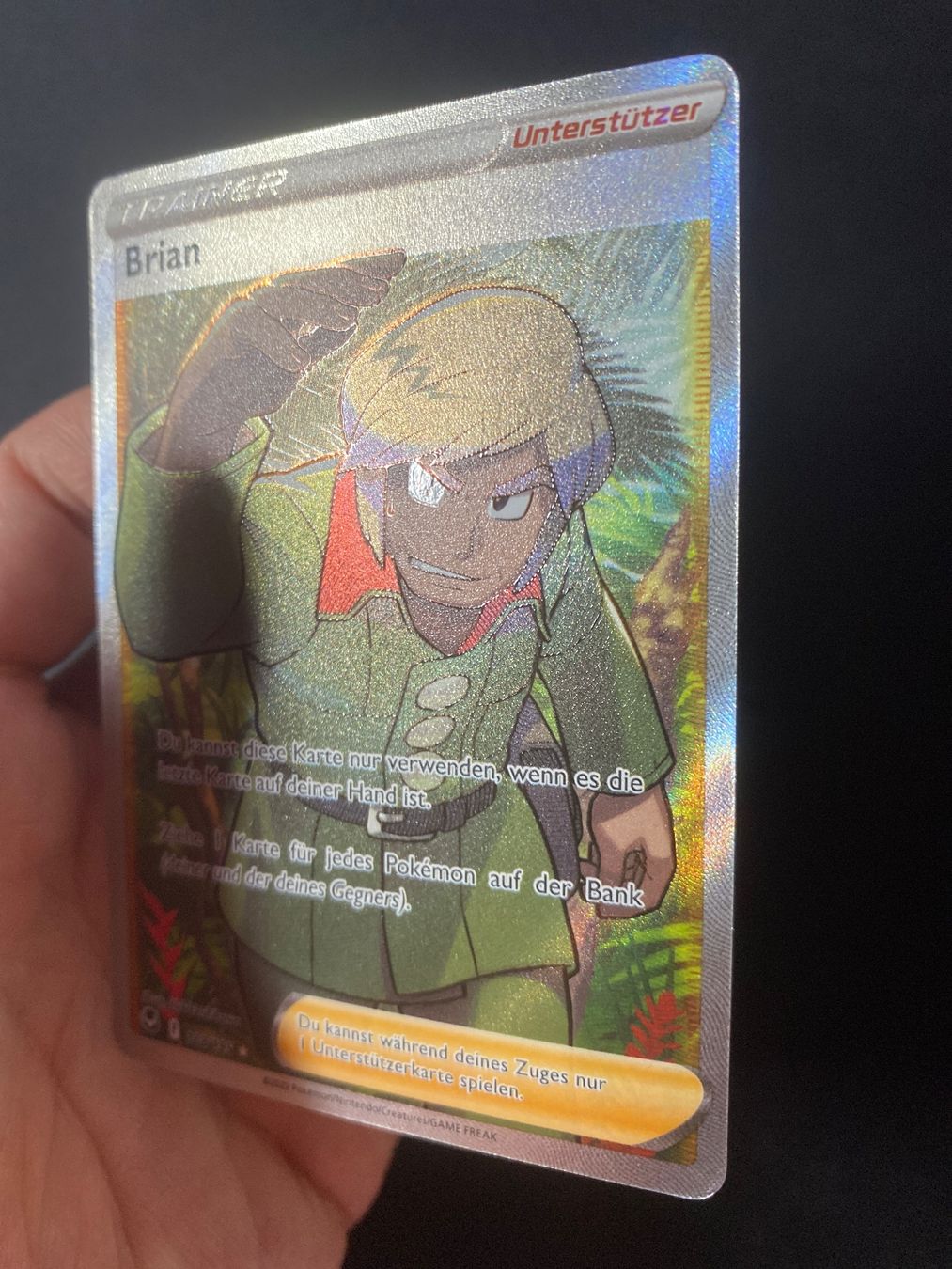 Pokémon Carte collezionabili: Pokemonkarte Brian 188 - Brandon - Silver Tempest - DE – Nuovo (secondo la descrizione) da Hausen AG venduto da Shrade 1