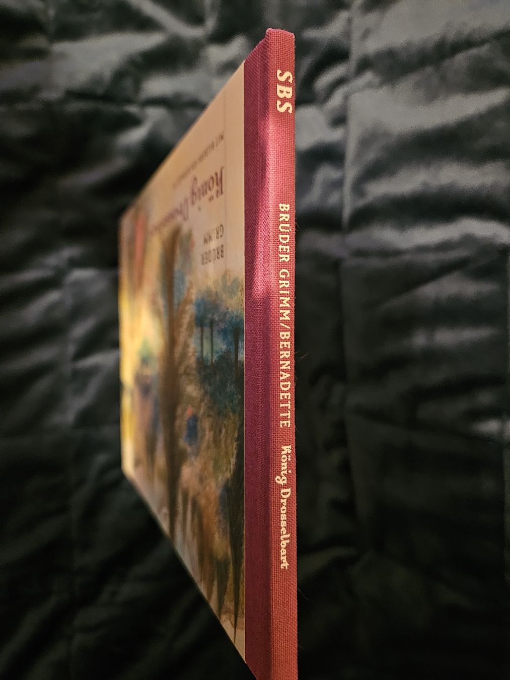 Bücher: Brüder Grimm König Drosselbart – Neu (gemäss Beschreibung) aus Wettingen von Sk8ertomda 2