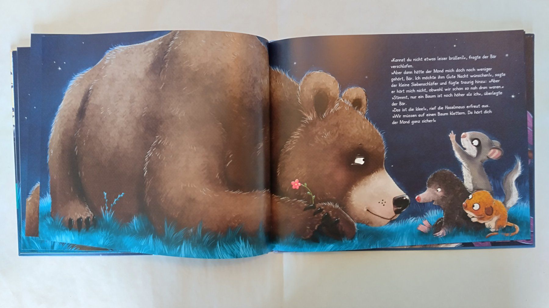 Libri: Die Geschichte vom kleinen Siebenschläfer der dem Mond.... – Usato da Bellach venduto da JingleJerry 5