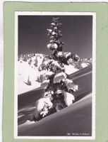Winter in Gstaad