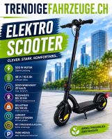 E- Scooter 48v , E- Trottinett Bike City Roller Urban Aktion