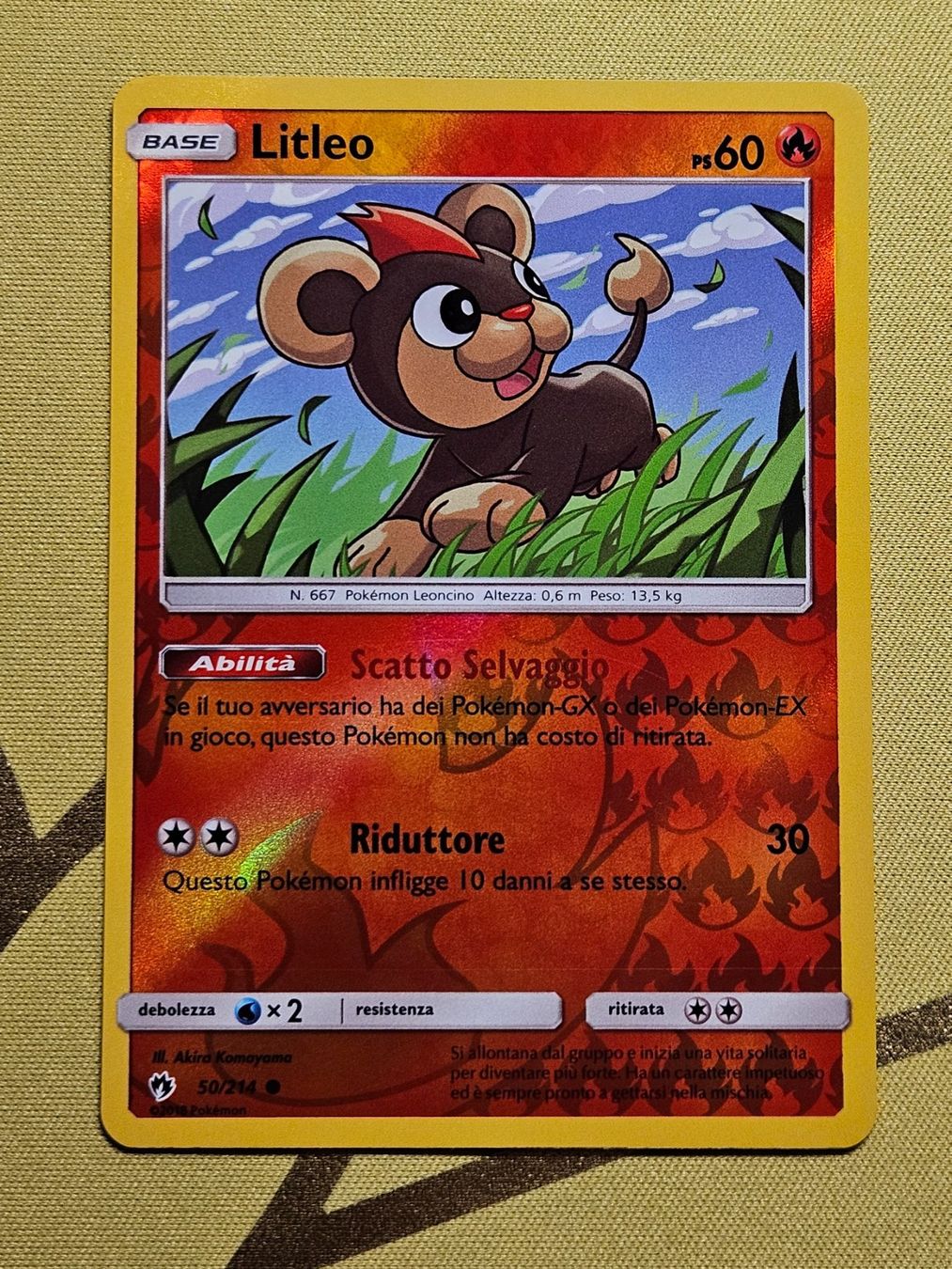 Pokémon Carte collezionabili: Lost Thunder - Litleo 50/214 IT – Usato da Bellinzona venduto da Pokemarco