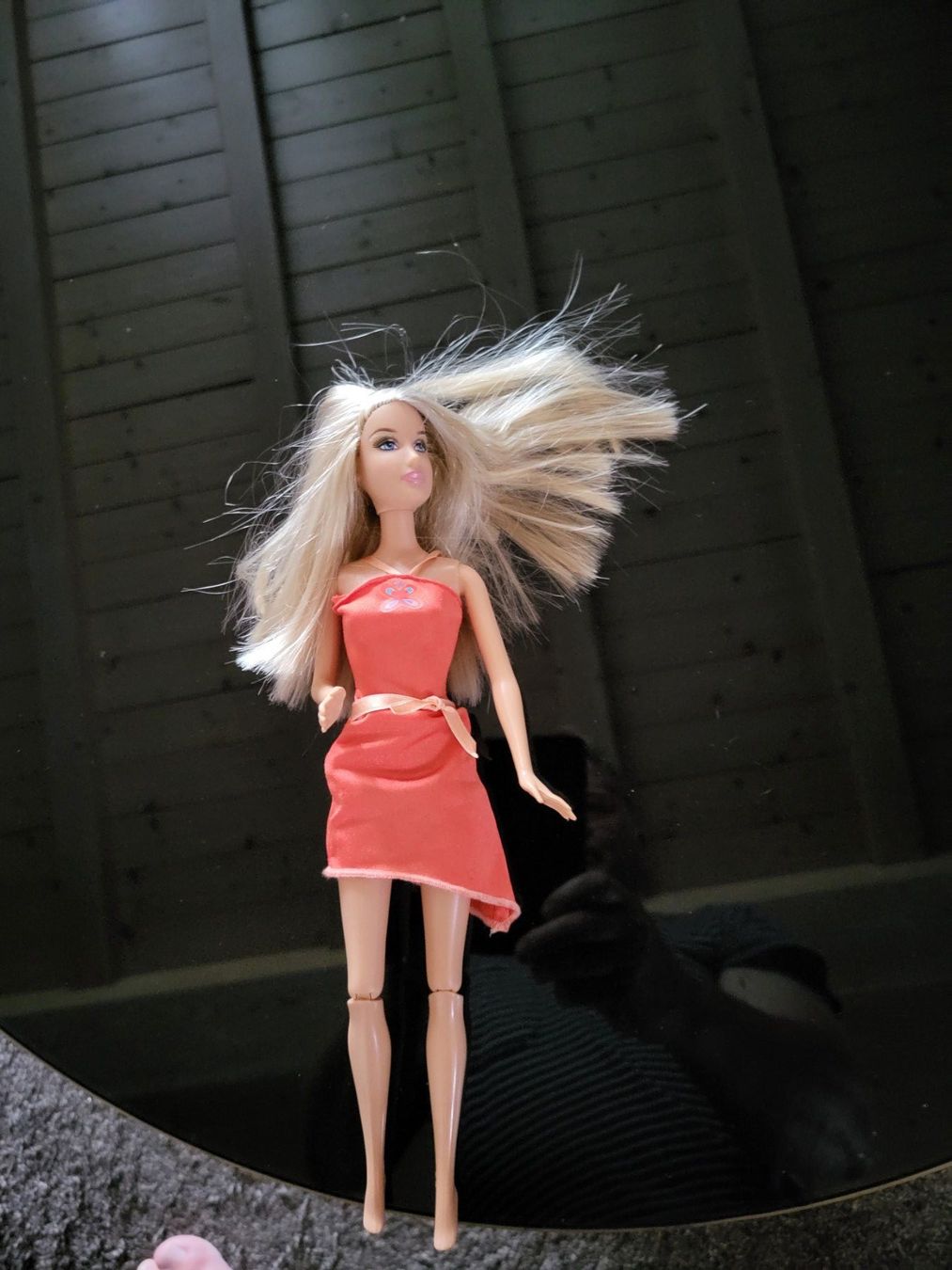 Disney Bambole: Barbie – Usato da Balterswil venduto da Jeko1967 1