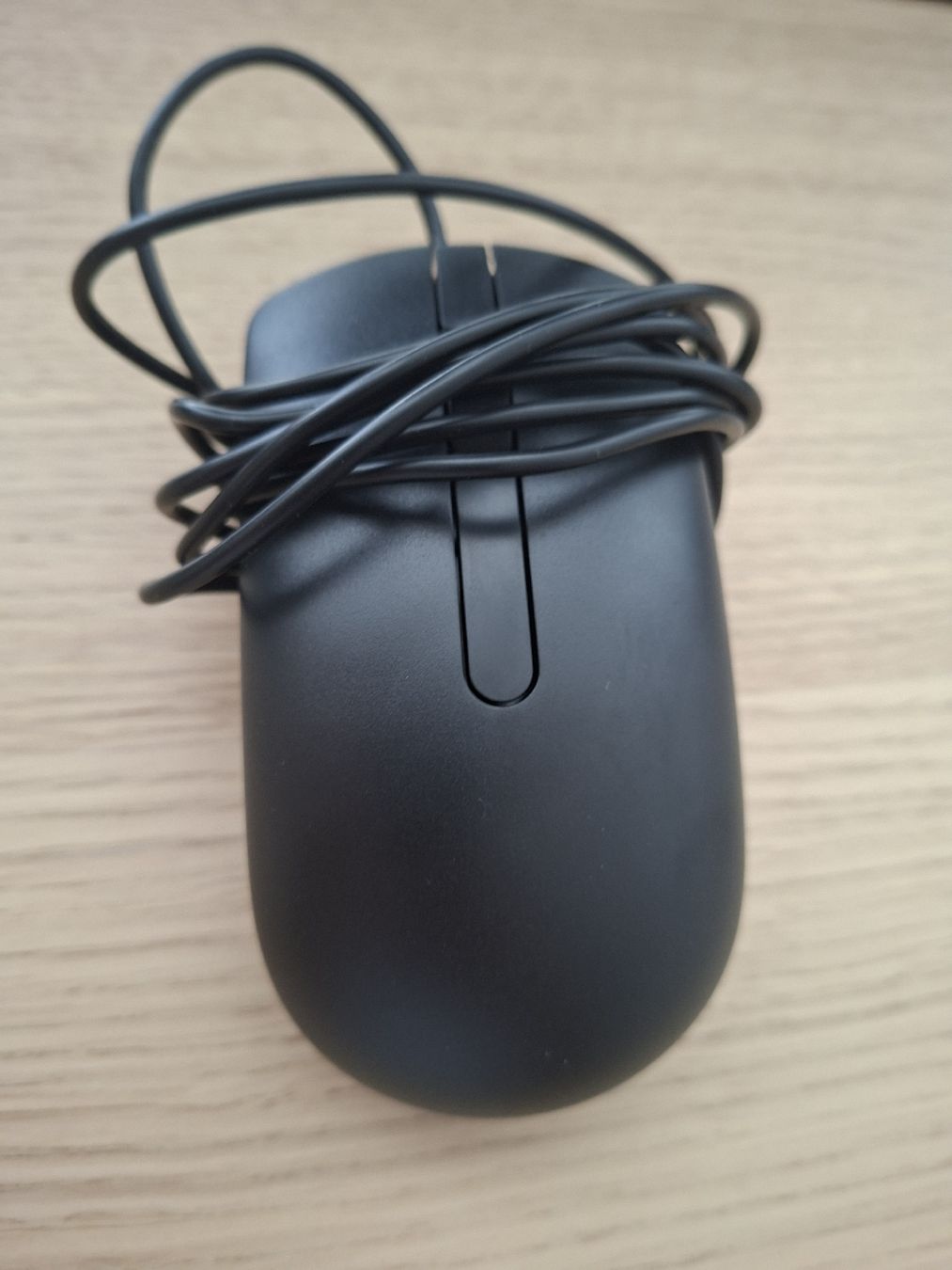 Dell Mouse: Dell MS116 USB Wired Mouse – Nuovo (secondo la descrizione) da Zürich venduto da mic_7gvl 1